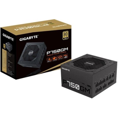 Gigabyte P750GM 750W Modulare 80+ Gold PFC Attivo ATX