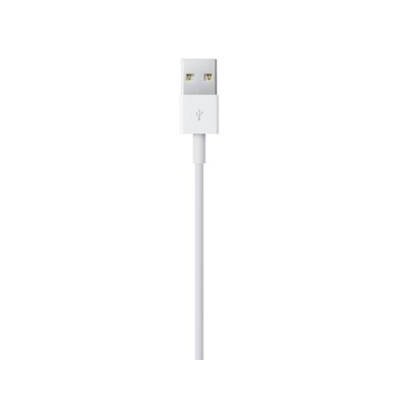 Apple Cavo Lightning to USB2.0 0.5m Bianco