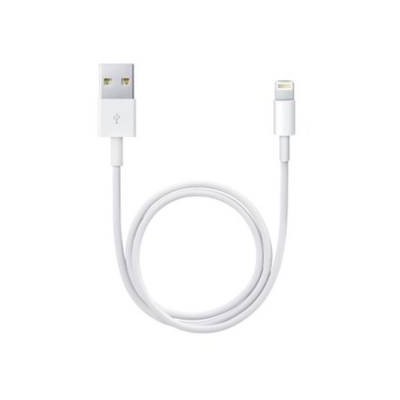 Apple Cavo Lightning to USB2.0 0.5m Bianco