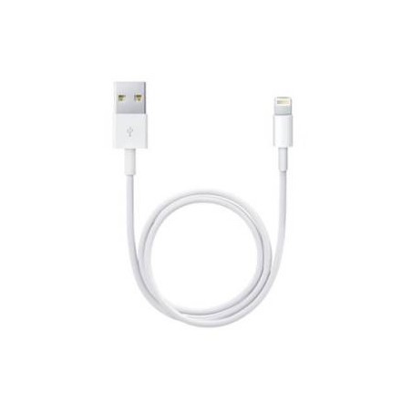 Apple Cavo Lightning to USB2.0 0.5m Bianco