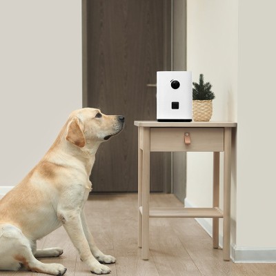 PAWBBY - Videocamera Smart con Incentivo animali domestici Cani e Gatti Xiaomi