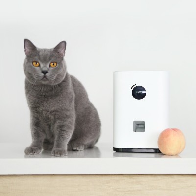 PAWBBY - Videocamera Smart con Incentivo animali domestici Cani e Gatti Xiaomi