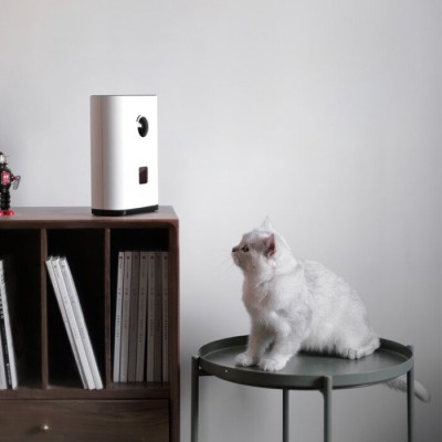 PAWBBY - Videocamera Smart con Incentivo animali domestici Cani e Gatti Xiaomi